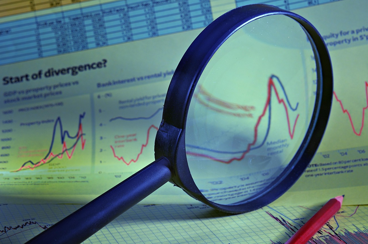 Crescimento do mei: organização e rotina profissional