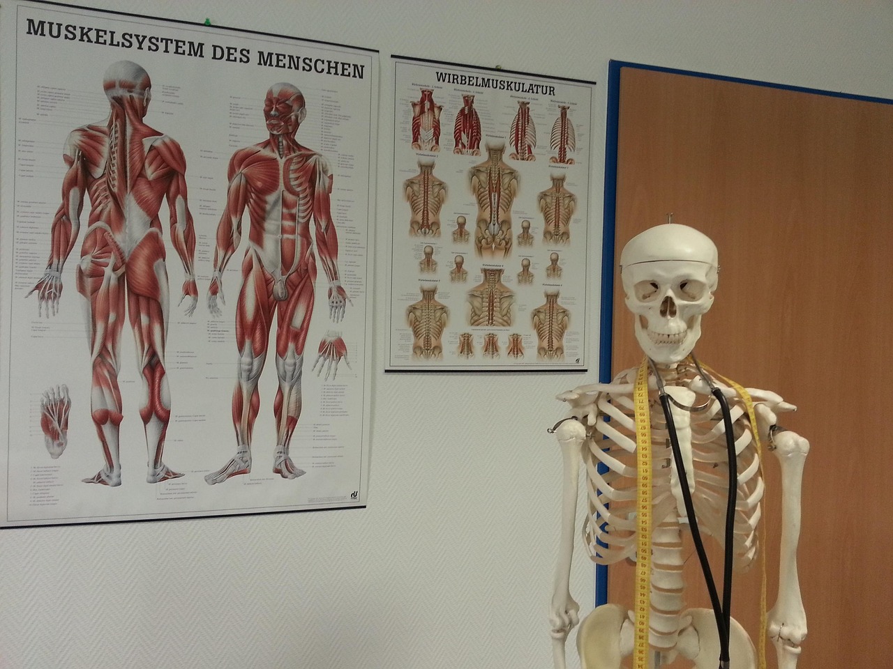 Médico plantonista - imagem destacada
